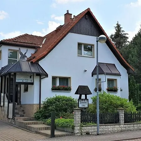 Schmidt *